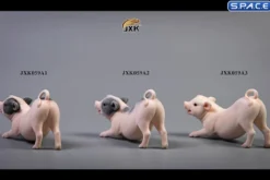 1/6 Scale Little Pig A1