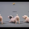 1/6 Scale Little Pig A3