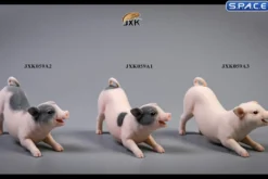 1/6 Scale Little Pig A3