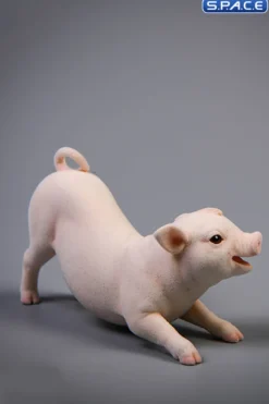 1/6 Scale Little Pig A3