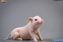 1/6 Scale Little Pig A3