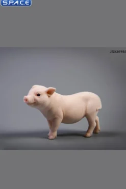 1/6 Scale Little Pig B3