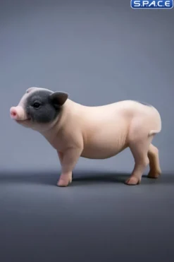 1/6 Scale Little Pig B1