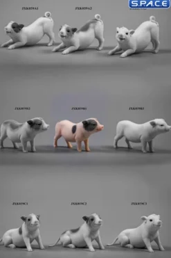 1/6 Scale Little Pig B1