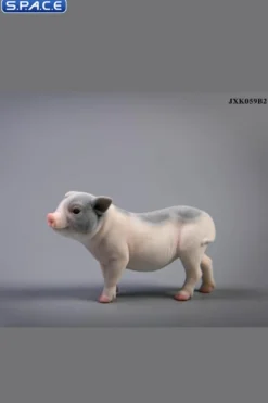 1/6 Scale Little Pig B2