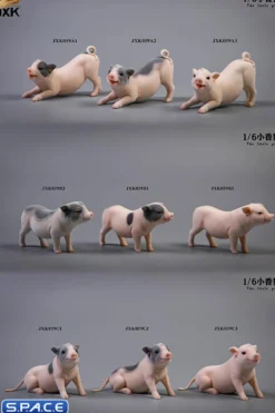 1/6 Scale Little Pig C2
