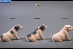 1/6 Scale Little Pig C2