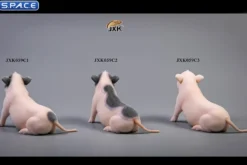 1/6 Scale Little Pig C2