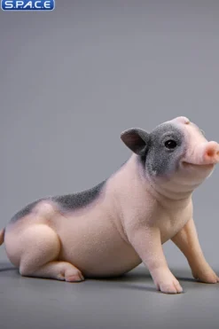1/6 Scale Little Pig C2