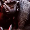 1/10 Scale Lobo Unleashed Art Scale Statue