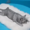 1/6 Scale lying Cat