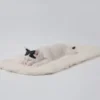 1/6 Scale lying Cat