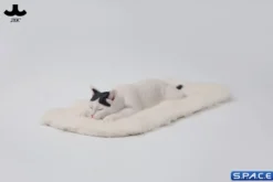 1/6 Scale lying Cat