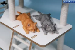 1/6 Scale lying Cat