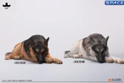 1/6 Scale lying German Shepherd