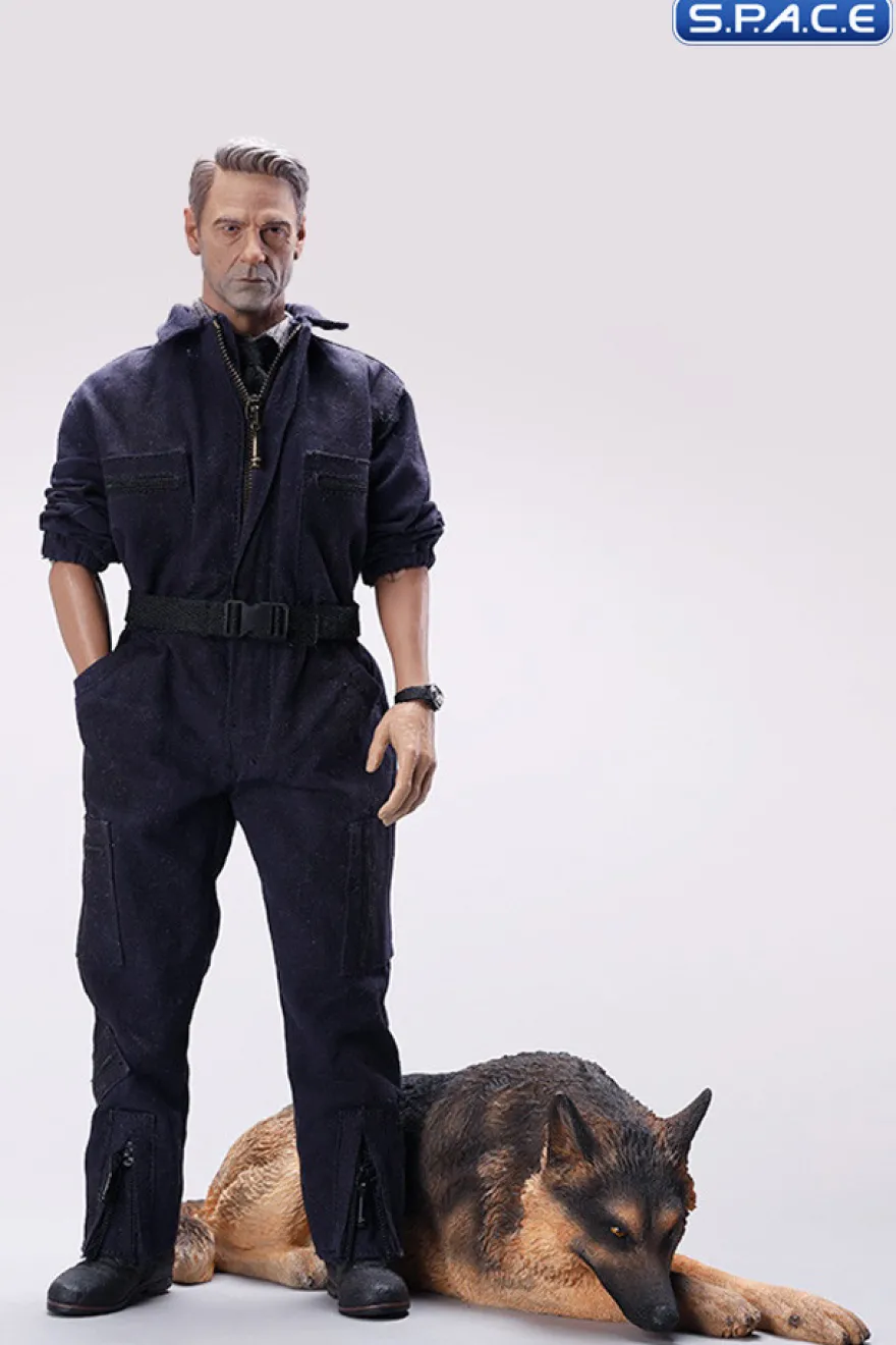 1/6 Scale lying German Shepherd