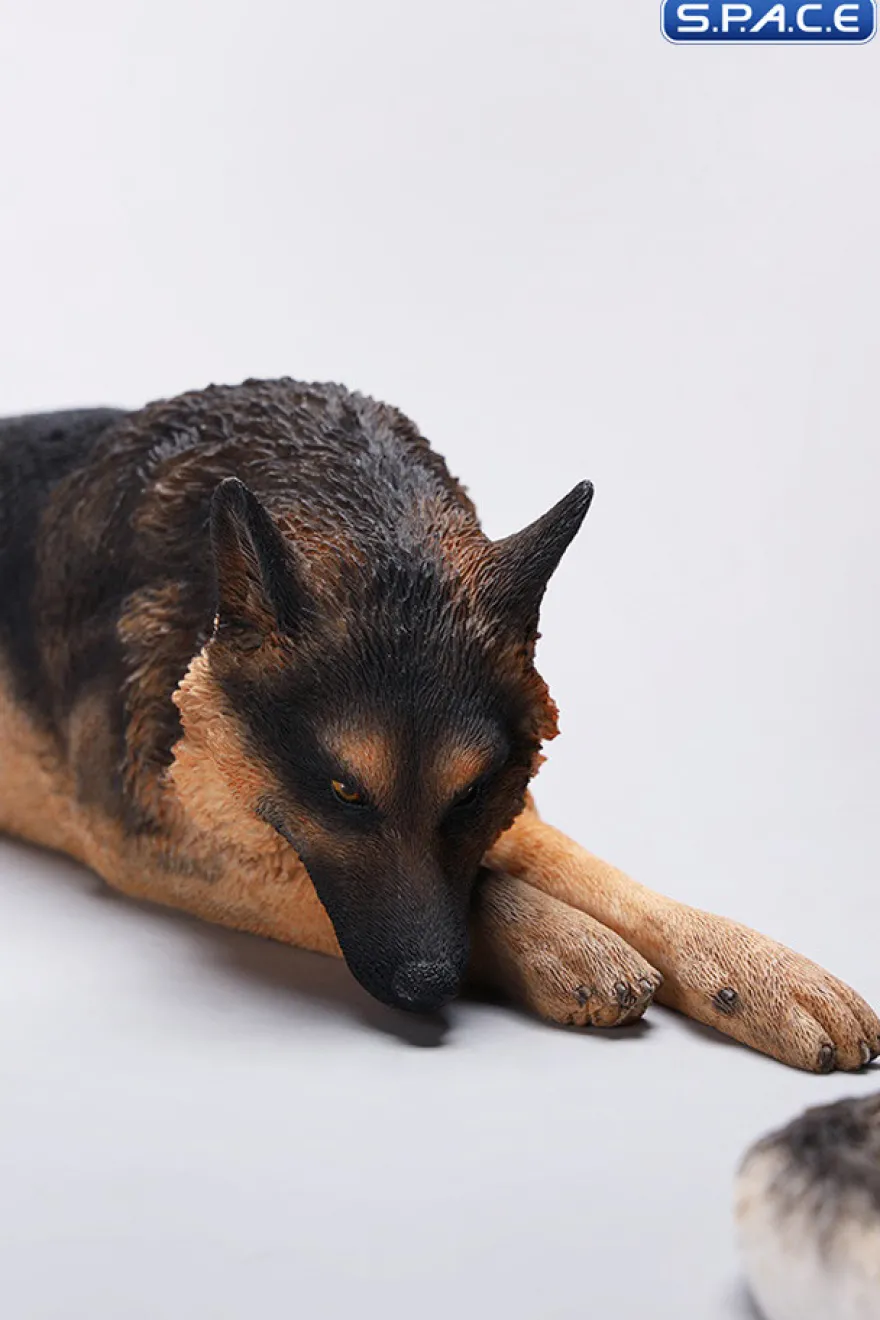 1/6 Scale lying German Shepherd