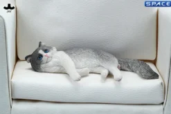 1/6 Scale lying Ragdoll