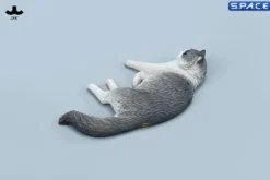 1/6 Scale lying Ragdoll