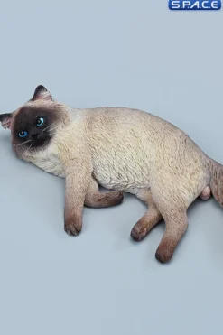 1/6 Scale lying Ragdoll