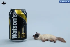 1/6 Scale lying Ragdoll