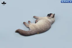 1/6 Scale lying Ragdoll