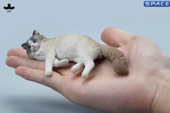 1/6 Scale lying Ragdoll
