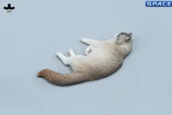 1/6 Scale lying Ragdoll
