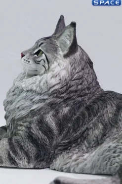 1/6 Scale Maine Coon