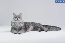 1/6 Scale Maine Coon