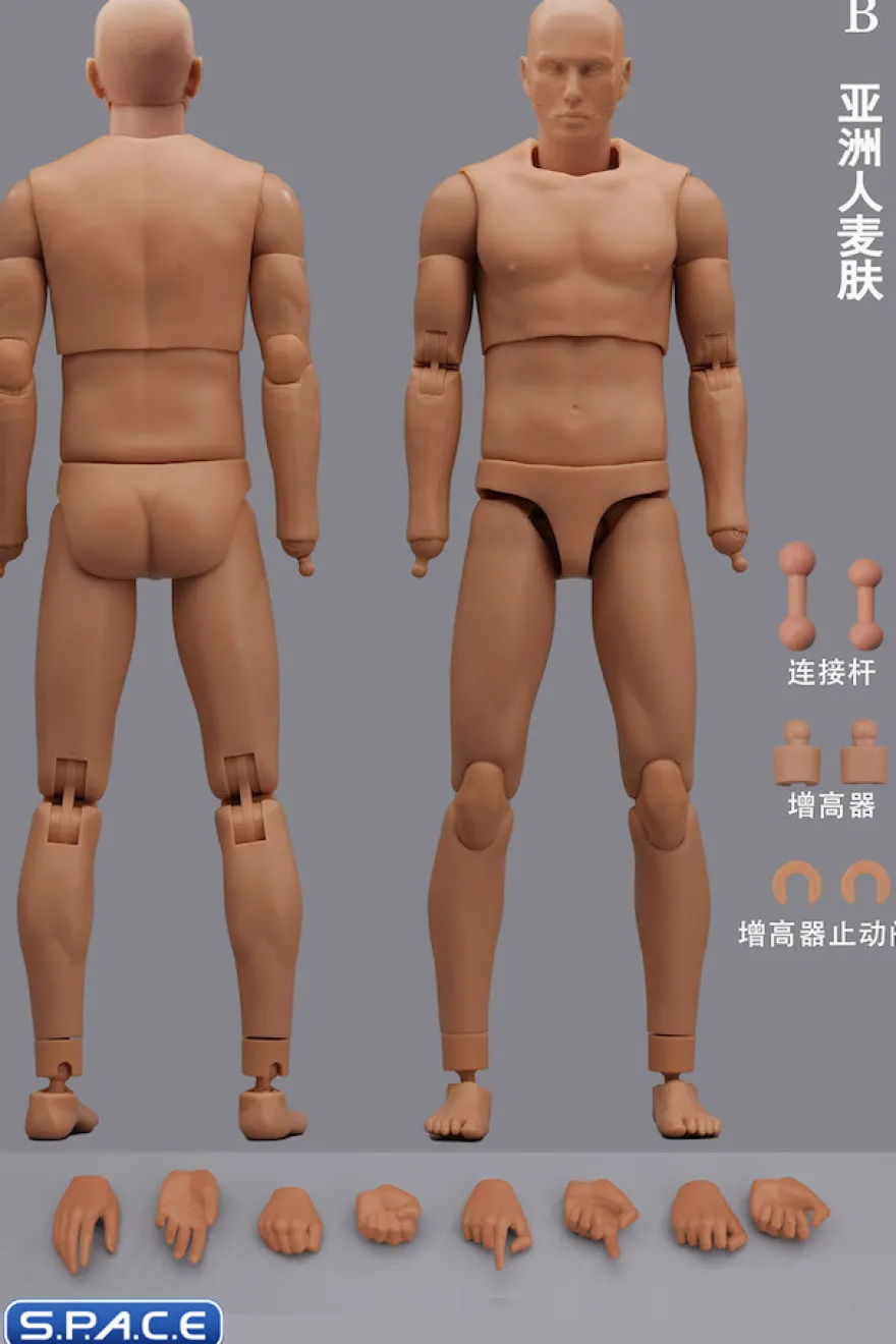 1/6 Scale Male Body MH2201B