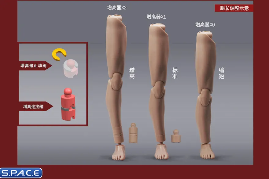 1/6 Scale Male Body MH2201B