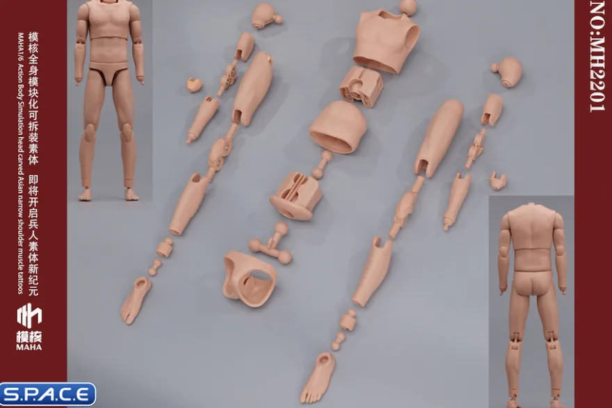 1/6 Scale Male Body MH2201B
