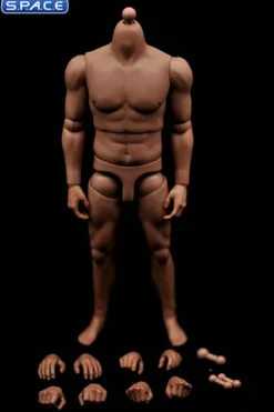 1/6 Scale Male Strong Muscle Body