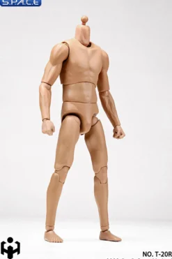 1/6 Scale male super-flexible