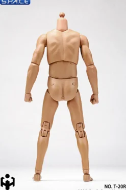 1/6 Scale male super-flexible
