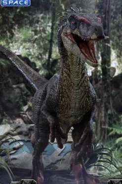 1/6 Scale Male Velociraptor Legacy Museum Collection Statue