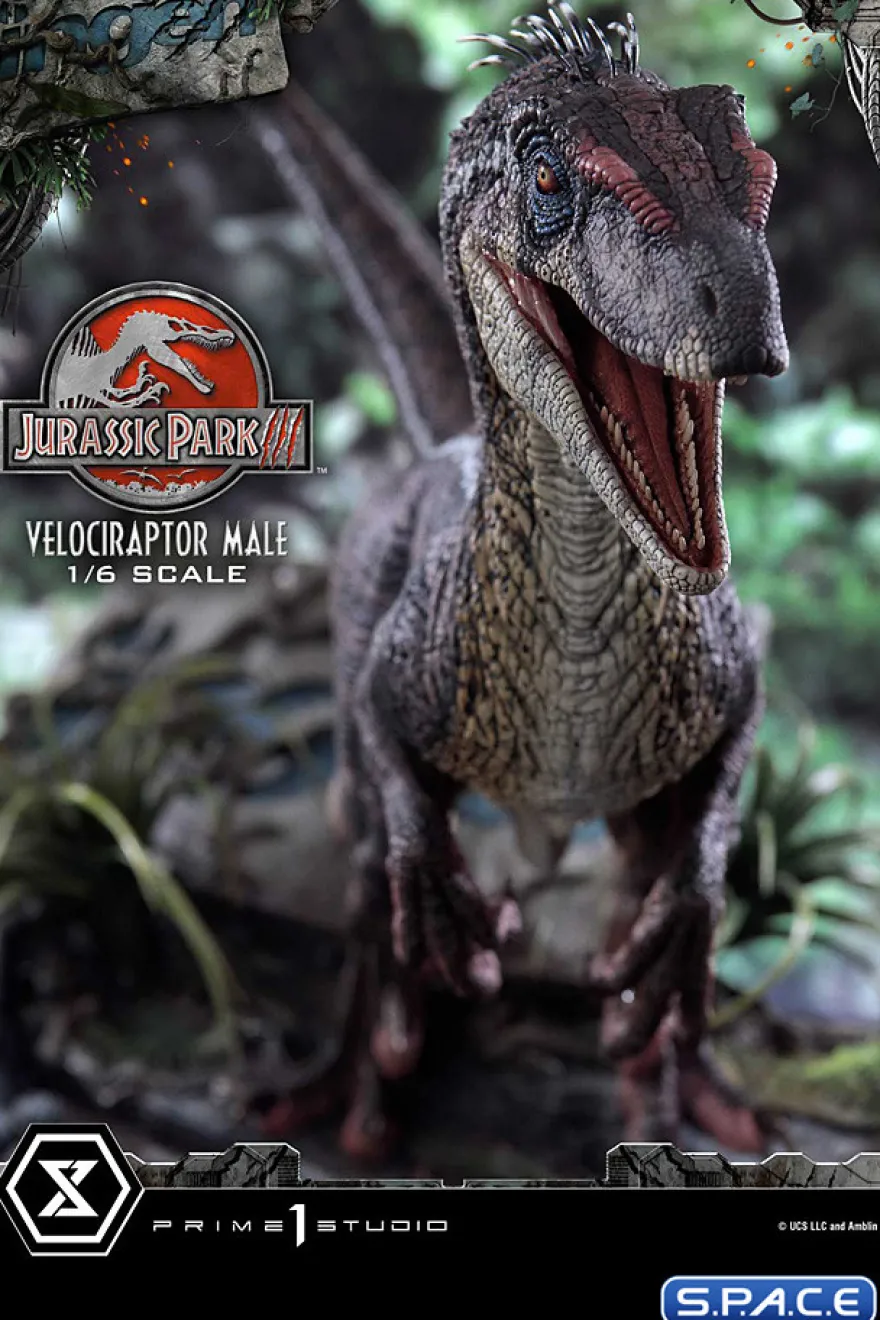 1/6 Scale Male Velociraptor Legacy Museum Collection Statue