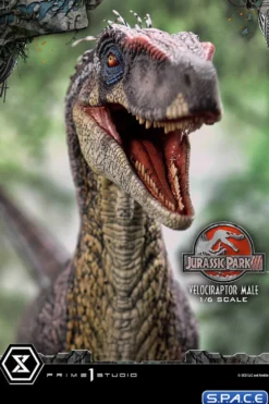 1/6 Scale Male Velociraptor Legacy Museum Collection Statue