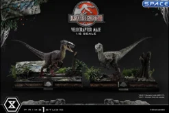 1/6 Scale Male Velociraptor Legacy Museum Collection Statue