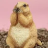 1/6 Scale Marmota Version C