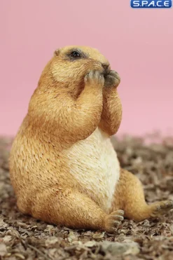 1/6 Scale Marmota Version C