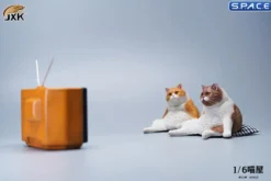 1/6 Scale Meow House