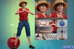1/6 Scale Monkey D. Luffy TV Masterpiece TMS109