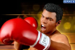 1/6 Scale Muhammad Ali - Double Pack