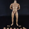 1/6 Scale Muscle male Body