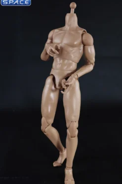 1/6 Scale Muscle male Body
