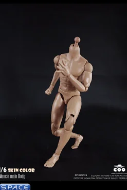 1/6 Scale Muscle male Body