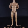 1/6 Scale Muscle male high Body