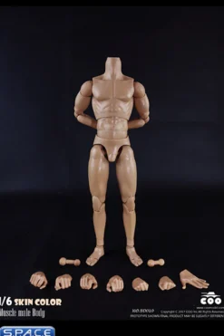 1/6 Scale Muscle male high Body